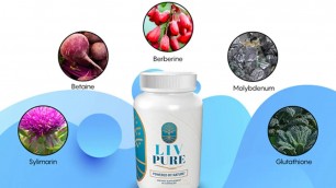 Make Everything Easy With LivPure